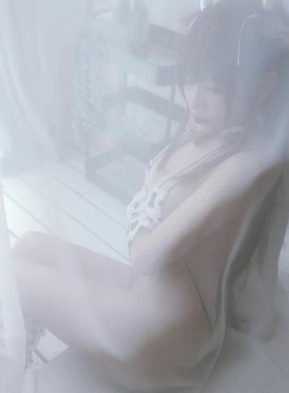 花房姑娘电视剧免费播放在线观看