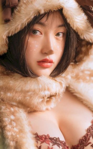 流星 电视剧